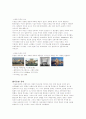 아랍 문화 Islamic Arts(이슬람 예술) 6페이지