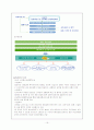 서울시 교통체제. 19페이지