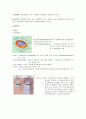 세포(대장균, 효모, 식물세포, 동물세포, 바이러스)의 관찰 1페이지