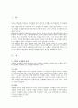 국제법의 국내적 효력 2페이지