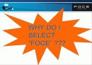 [마케팅]FOCE 세계 최고의 패션 명품 브랜드로의 도전 (A+ Report) 3페이지