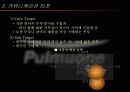 풀무원의 마케팅 전략(A+ Report) 22페이지
