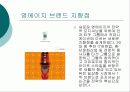 영에이지 -  에스콰이어 STP 마케팅 전략사례(A+ Report) 5페이지