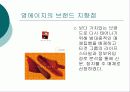 영에이지 -  에스콰이어 STP 마케팅 전략사례(A+ Report) 6페이지