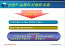 [소비자행동론]브랜드 실패 사례에 대한 원인과 분석 5페이지