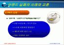 [소비자행동론]브랜드 실패 사례에 대한 원인과 분석 6페이지