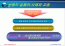 [소비자행동론]브랜드 실패 사례에 대한 원인과 분석 10페이지