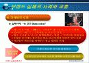 [소비자행동론]브랜드 실패 사례에 대한 원인과 분석 13페이지
