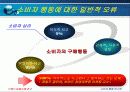 [소비자행동론]브랜드 실패 사례에 대한 원인과 분석 14페이지