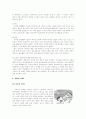 가정폭력의 실태분석 및 대응방안 8페이지