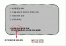 호주제 폐지에 대한 나의 주장 15페이지