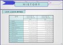 나이키 골프 코리아의 마케팅 전략 분석 11페이지
