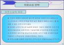 나이키 골프 코리아의 마케팅 전략 분석 12페이지