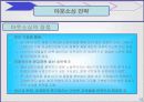 나이키 골프 코리아의 마케팅 전략 분석 14페이지