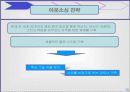 나이키 골프 코리아의 마케팅 전략 분석 15페이지