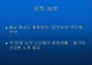 노후 생활에 대한 준비 보고서 24페이지