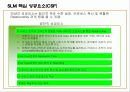 효과적인 SLA기반 서비스수준관리 46페이지
