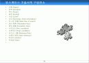 UML(Unified Modelling Language) 30페이지