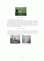 polystyrene의 용액중합 14페이지