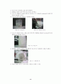 polystyrene의 용액중합 17페이지