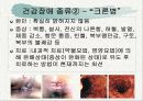 건강장애 13페이지