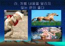 조직혁신을 이룬 존우든 9페이지