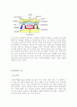 PDP에 관하여... 6페이지