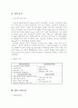하이트맥주 마케팅 전략 분석 4페이지