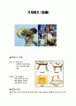 기계체조(뜀틀) 조사 1페이지
