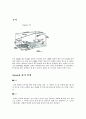 스쿼시(squash)에 대한 조사 5페이지