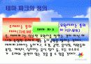 에버랜드의 테마파크전략 4페이지