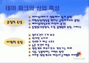 에버랜드의 테마파크전략 5페이지