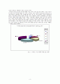 PVR의 등장과 광고의 변화 5페이지