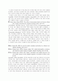 텍스트 변인 5페이지