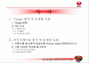 [브랜드마케팅]신라면 큰사발 마케팅 기획안 (A+리포트) 2페이지