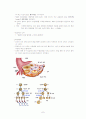 임신과정 7페이지