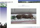 신제품 개발의 성공과 실패 22페이지