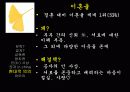 공자에 대하여 36페이지