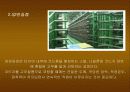 타이어 공정 프로세스 pert도 15페이지