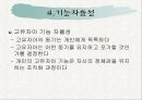 [심리학] 올포트의 이론 (PPT) 17페이지