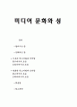  미디어 문화와 성 1페이지