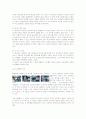  미디어 문화와 성 9페이지