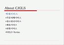 [산업공학]SCM(Supply Chain Management)구현에 관한 사례연구 CJ GLS를 중심으로 (A+리포트) 17페이지