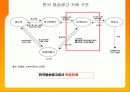 디지털 컨버전스 와 광고매체전략에 대해서 조사하기 8페이지