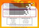 디지털 컨버전스 와 광고매체전략에 대해서 조사하기 21페이지