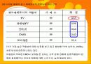 디지털 컨버전스 와 광고매체전략에 대해서 조사하기 24페이지