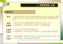 국민연금의 이해(A+레포트)★★★★★ 6페이지