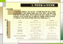 국민연금의 이해(A+레포트)★★★★★ 14페이지