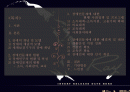 장애인문제에 대한 해결책 및 대안(소득지원,사회참여,교육,의료대책) 2페이지