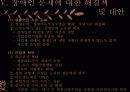 장애인문제에 대한 해결책 및 대안(소득지원,사회참여,교육,의료대책) 28페이지